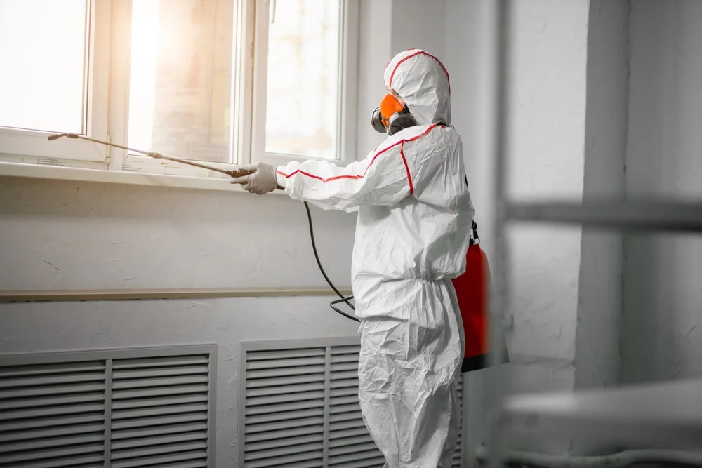 Professional mold remediation services in Pewaukee, WI